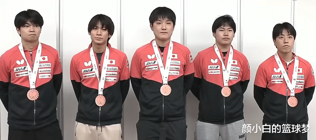 奥地利队横扫英格兰队,张本智和扛起全队 奥地利队横扫英格兰队,张本智和扛起全队