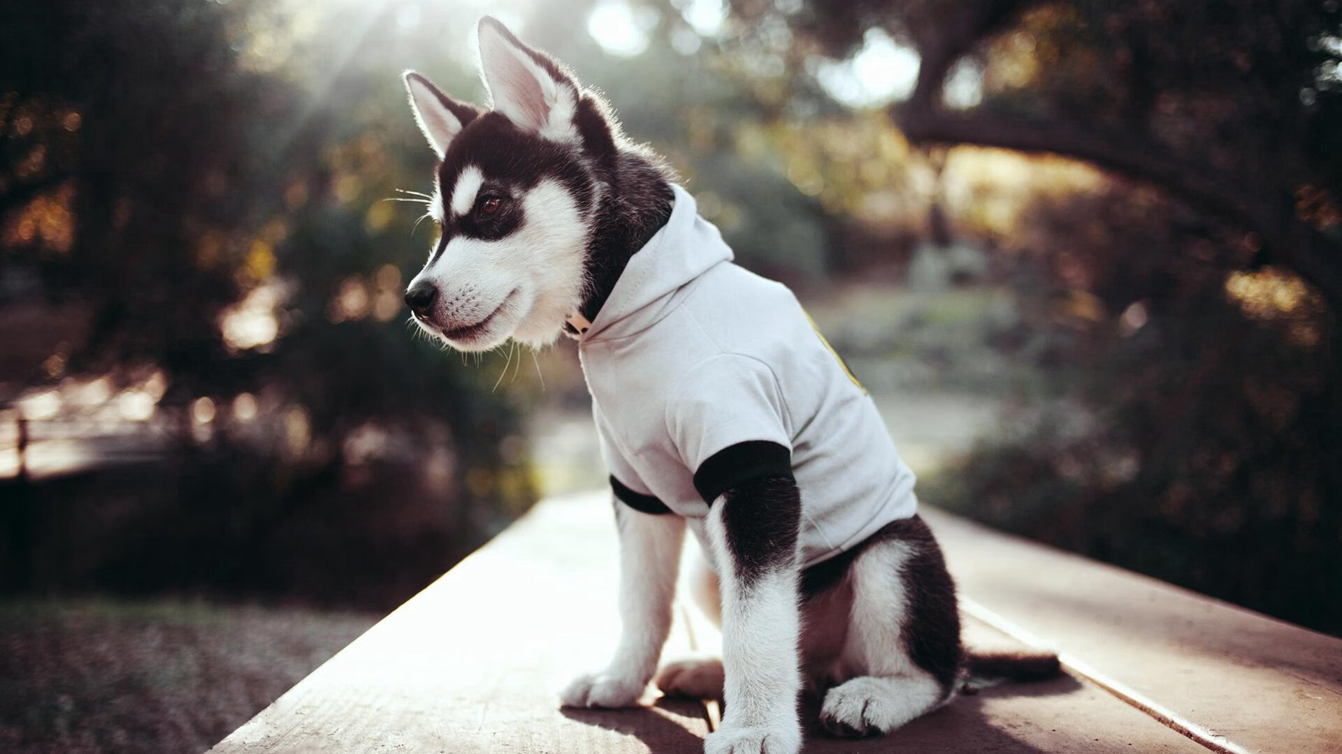 开云sport-球场即课堂，当爱德华兹把黄蜂对奇才变成战术示范课