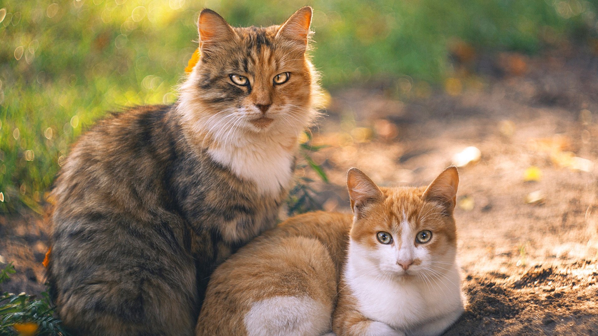 救赎之夜,从嘘声到赞歌,格列兹曼如何亲手改写命运