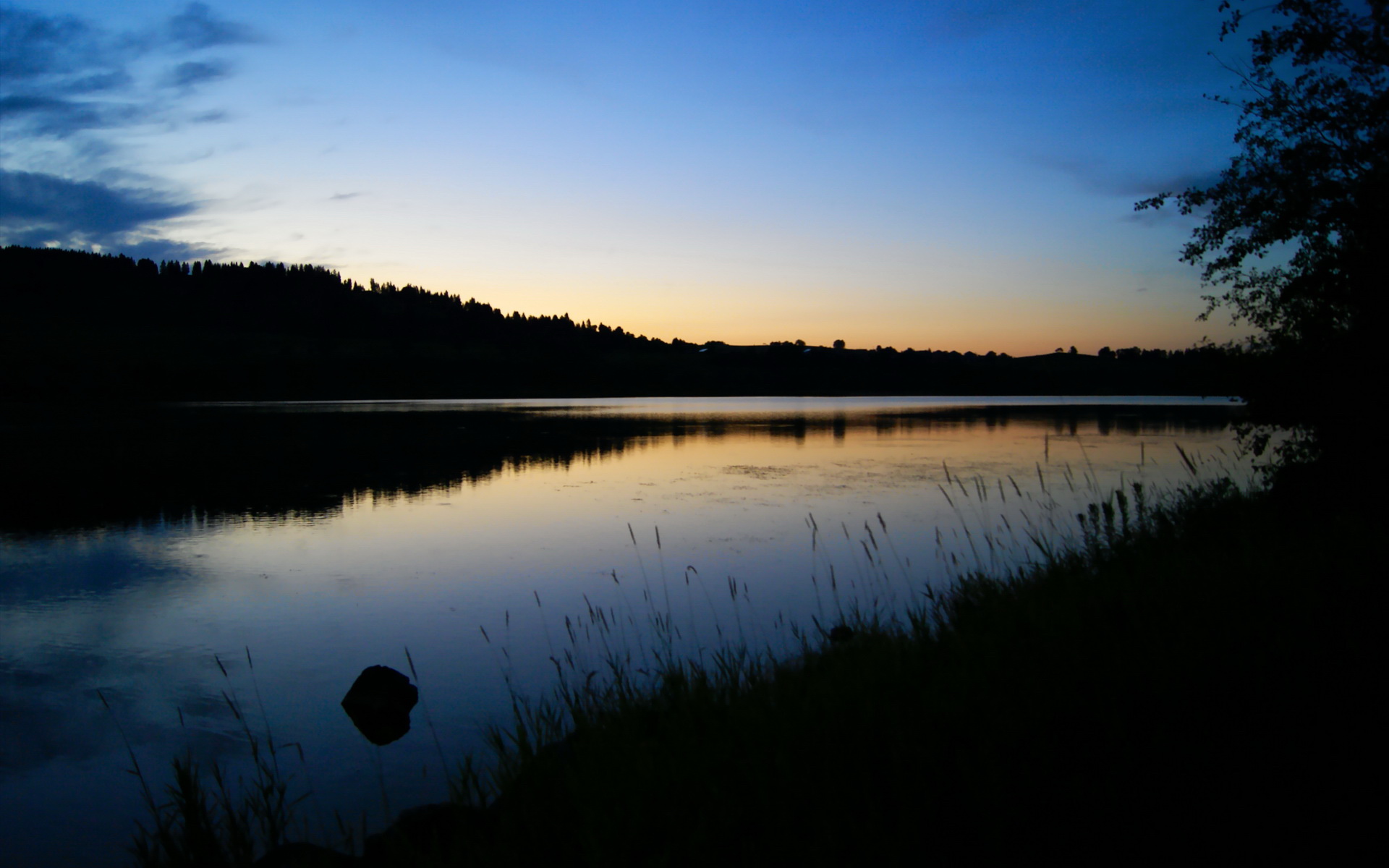 开云体育-无争议的MVP，小贾伦主导上海队与尼克斯的对决
