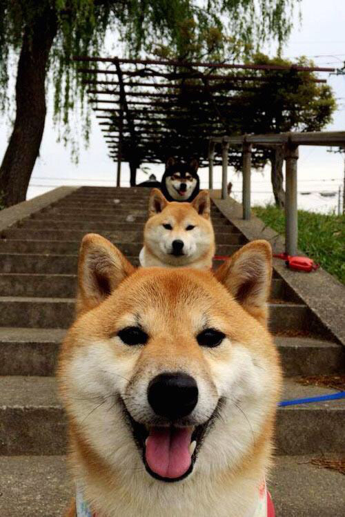 冰与火的时代对决，伦纳德如何成为攻防转换的灵魂核心