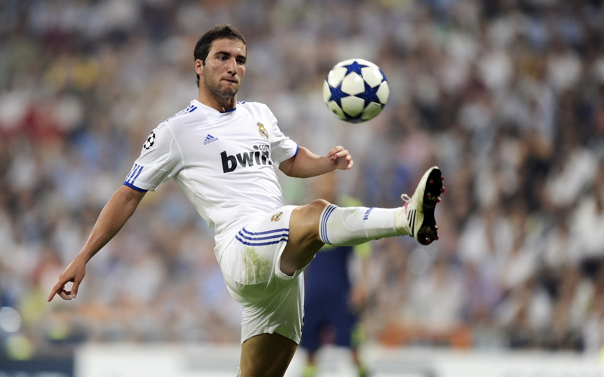 开云体育登录-当蔚蓝海岸遇见冰雪枫叶，基米希如何用足球谱写两种文明的对话