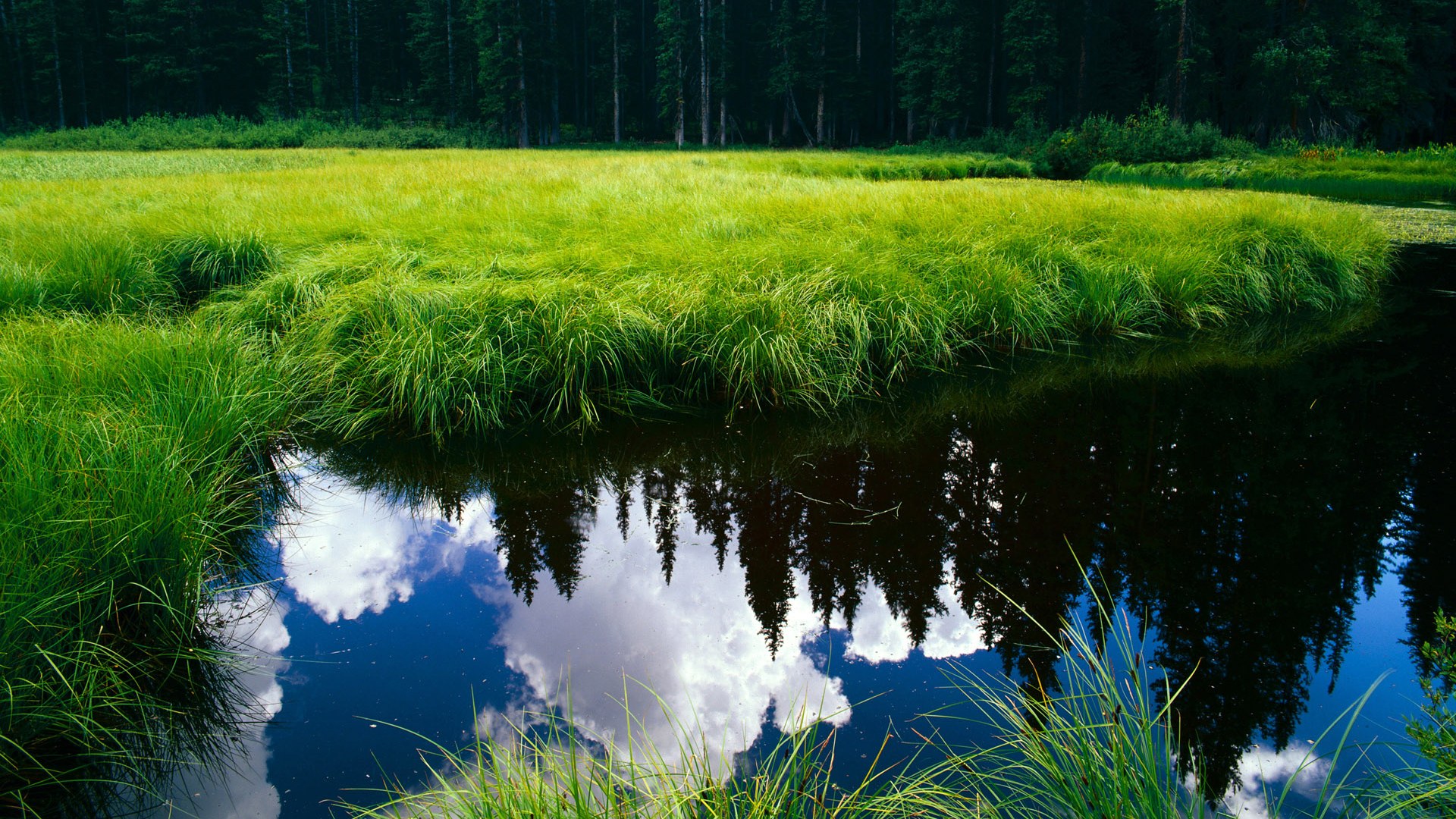 绿岛钢城间的唯一图腾，伊布，以传说对抗时间