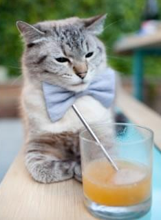 利拉德时间,在第三节提前响起—当老鹰的翅膀被一句晚安悄然折断