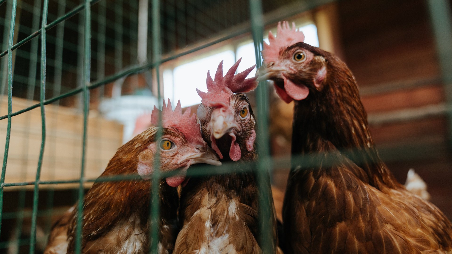 极速狂飙与独舞巅峰，那个夜晚，人类极限在两个赛场同时轰鸣