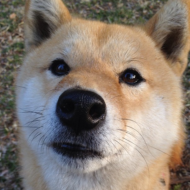 跨洋呼应的破晓时刻，公牛末节传奇与爱德华兹的德甲统治夜