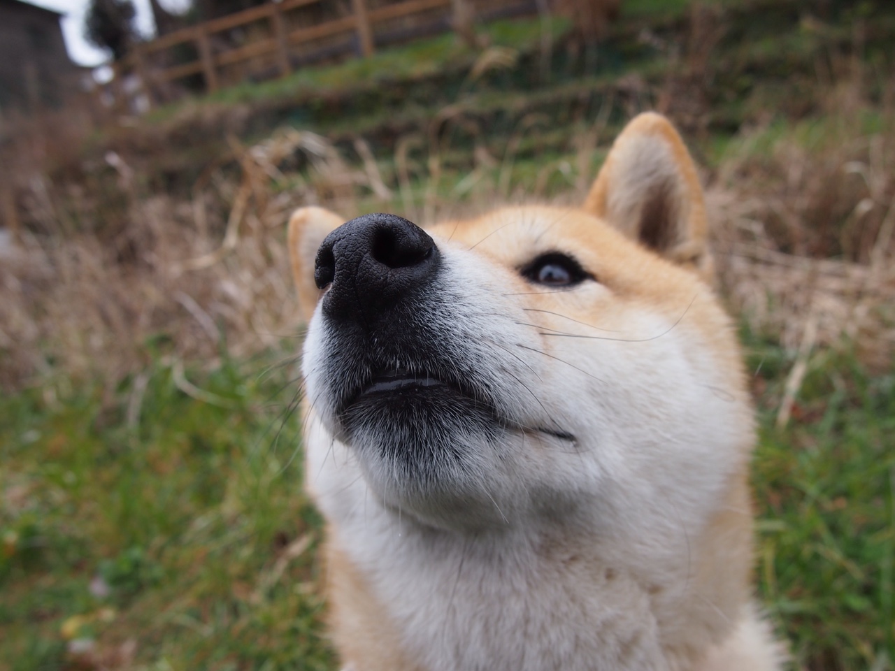 天山雪豹对阵费城图腾，爱德华兹的冰与火之歌