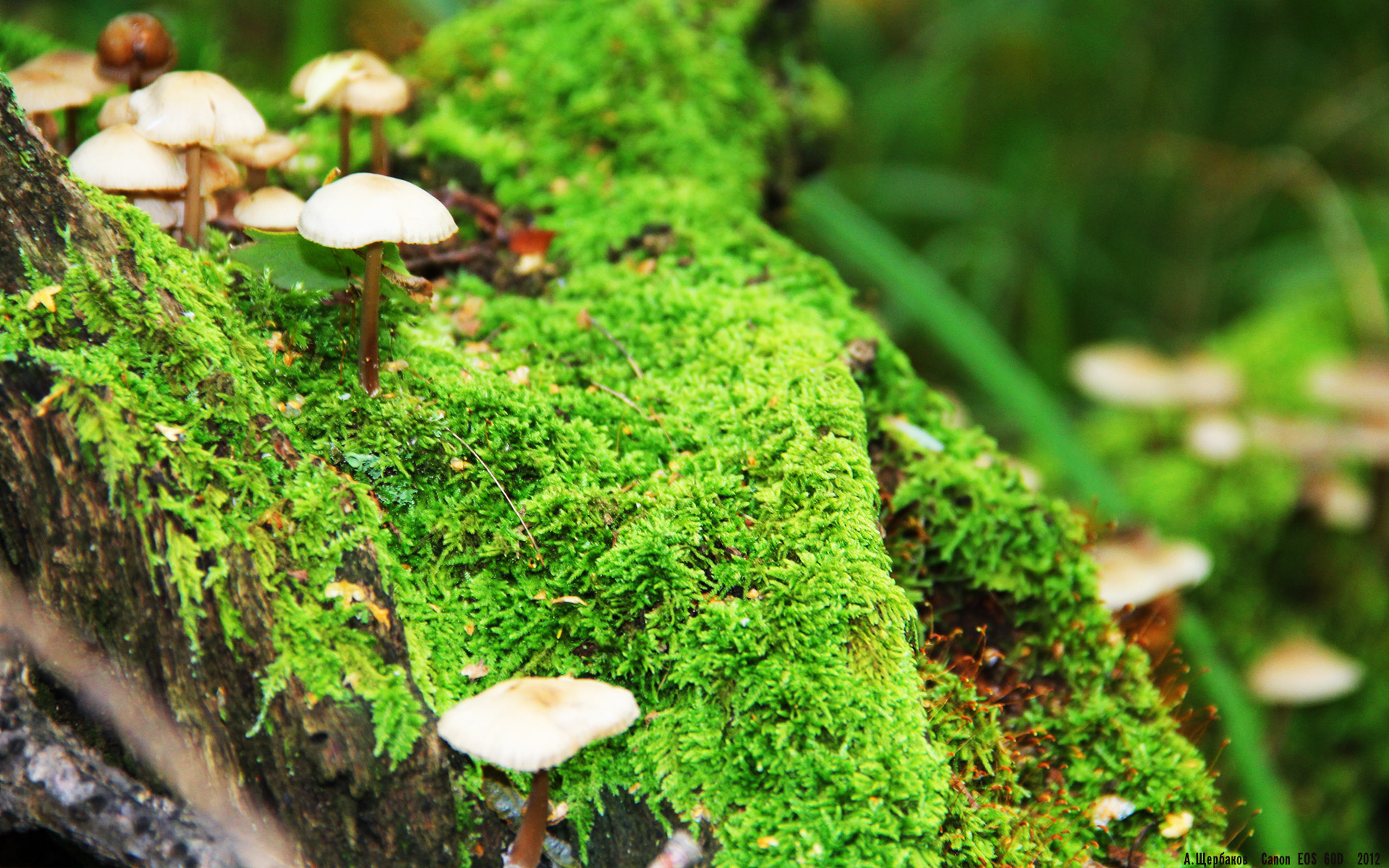 当老鹰掠过休斯顿,解析现代篮球的收割与爆穿艺术