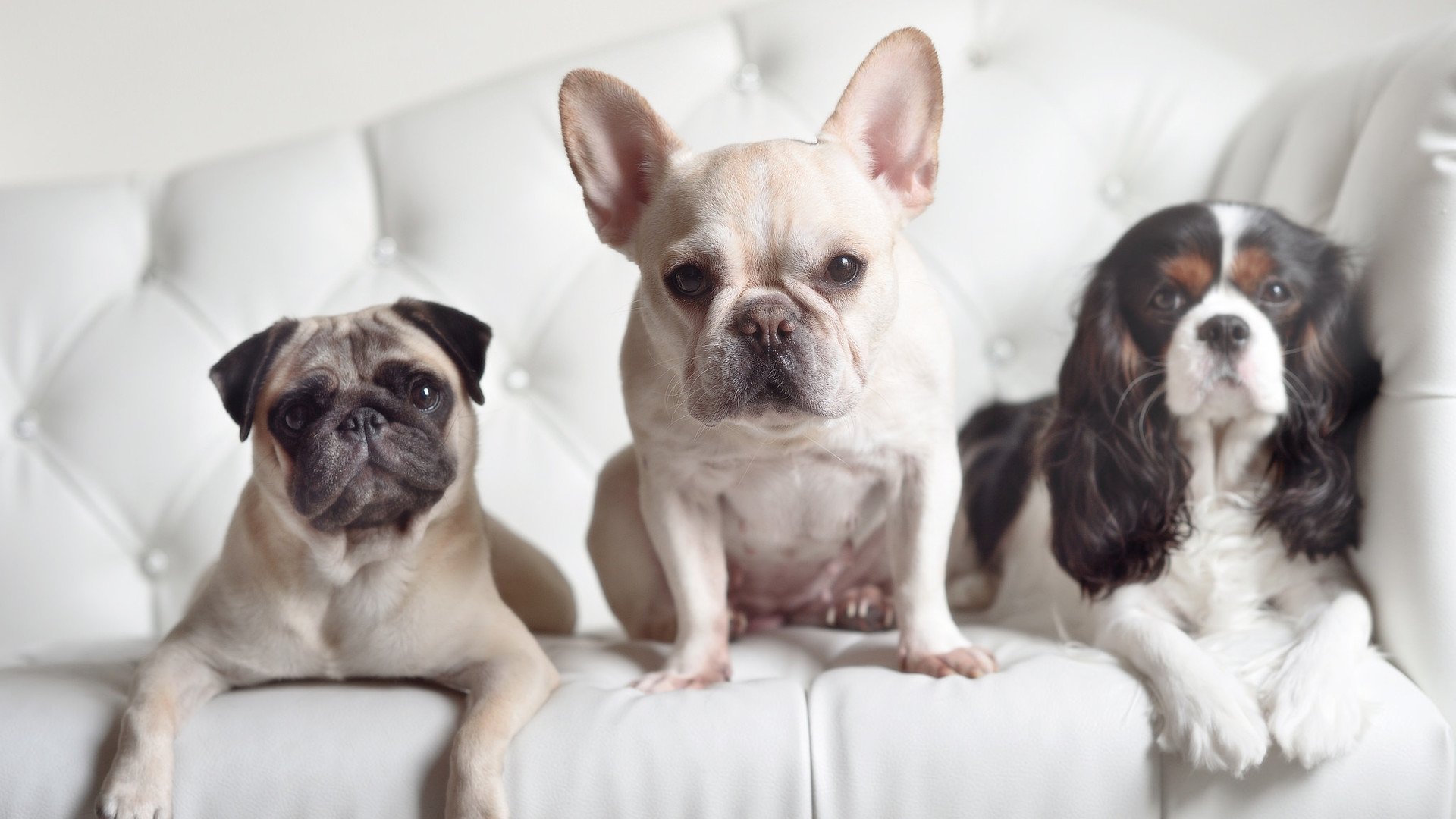 开云体育中国-窒息防守定乾坤！戈贝尔0分16板5帽化身非典型关键先生，湖人最后一击奏凯篮网