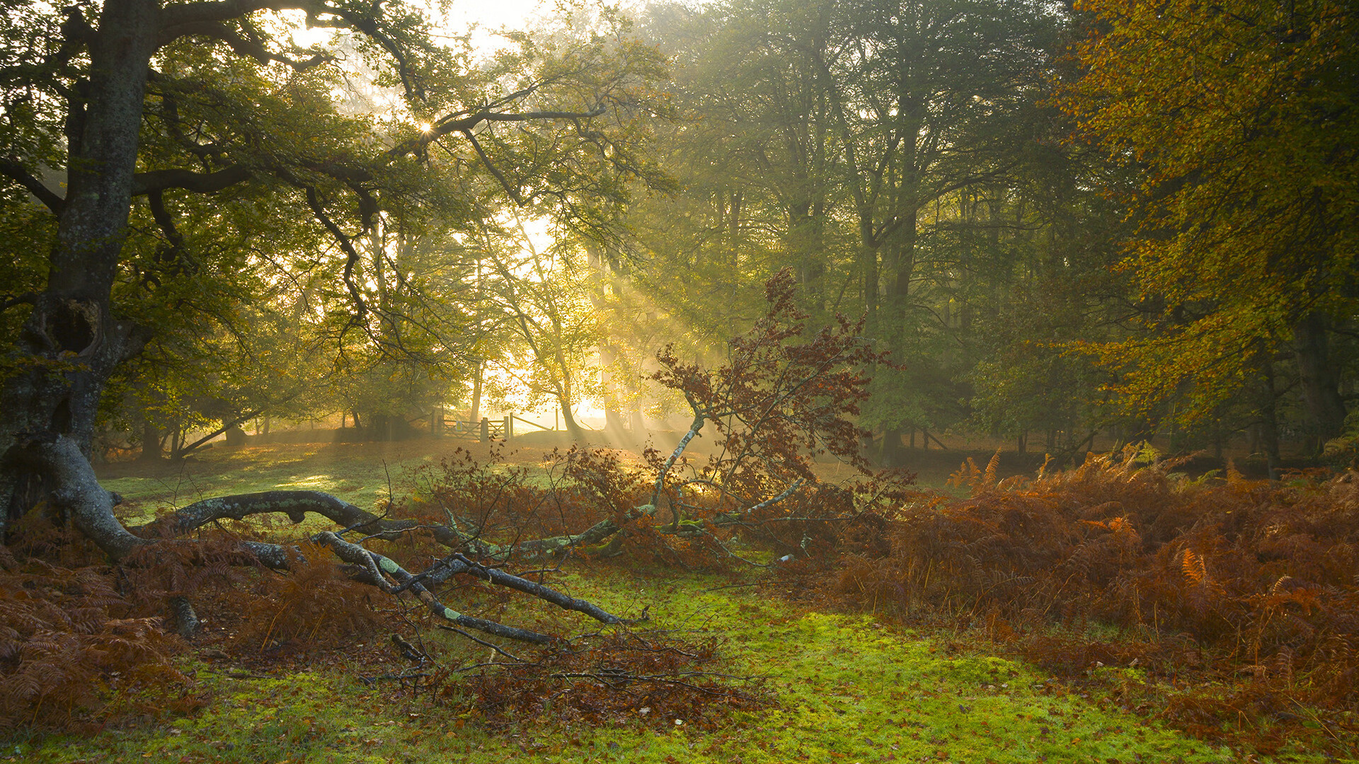 开云体育入口-制胜三分撕裂夜空！拉梅洛终场前4.2秒定义英雄，魔术加时险胜吉林