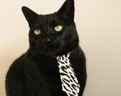 跨界风暴，当足球的铁血终结篮球的优雅—记福登在NBA赛场的苏格兰式革命