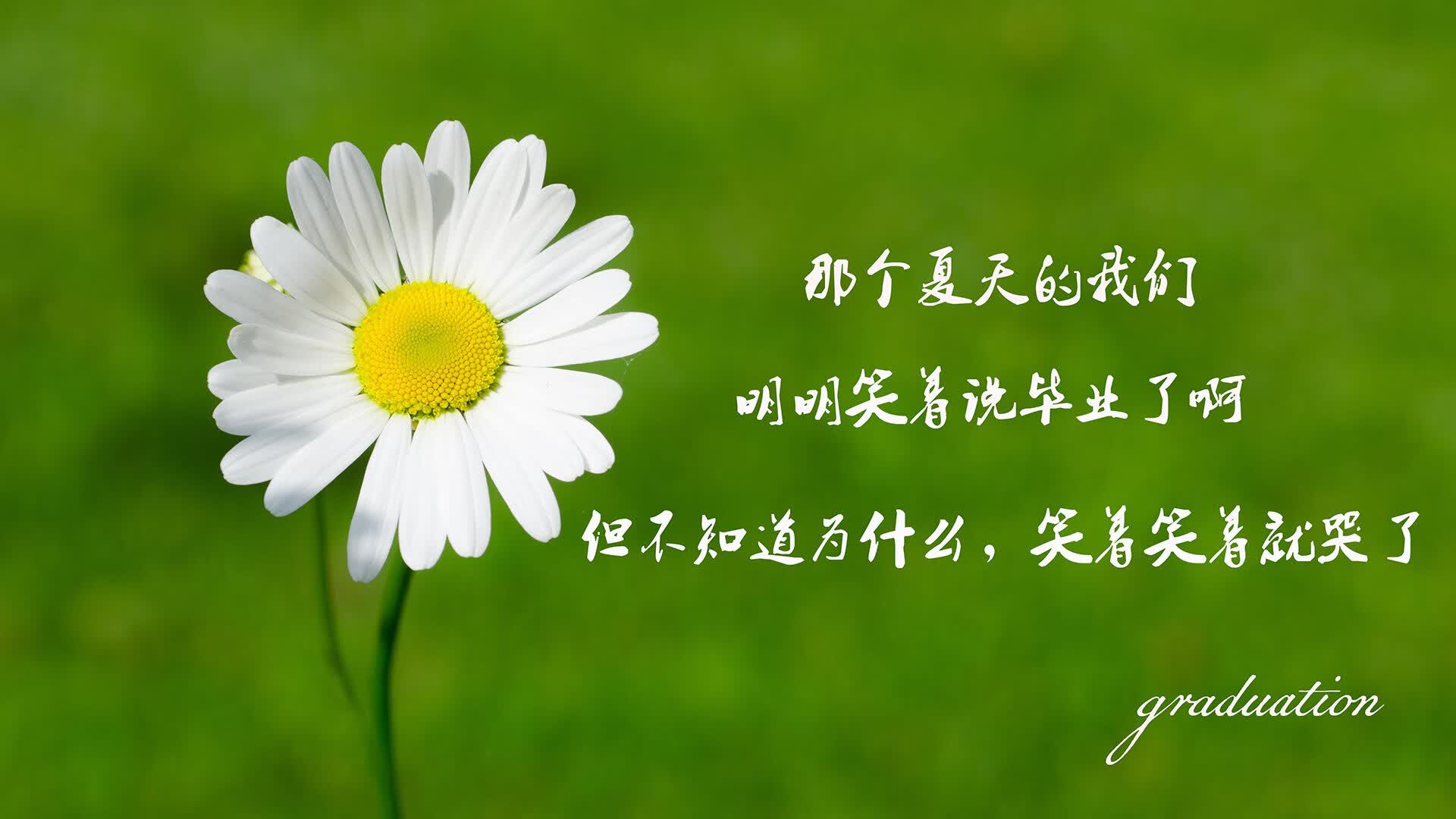 下面，我将为你呈现一个完整的构思