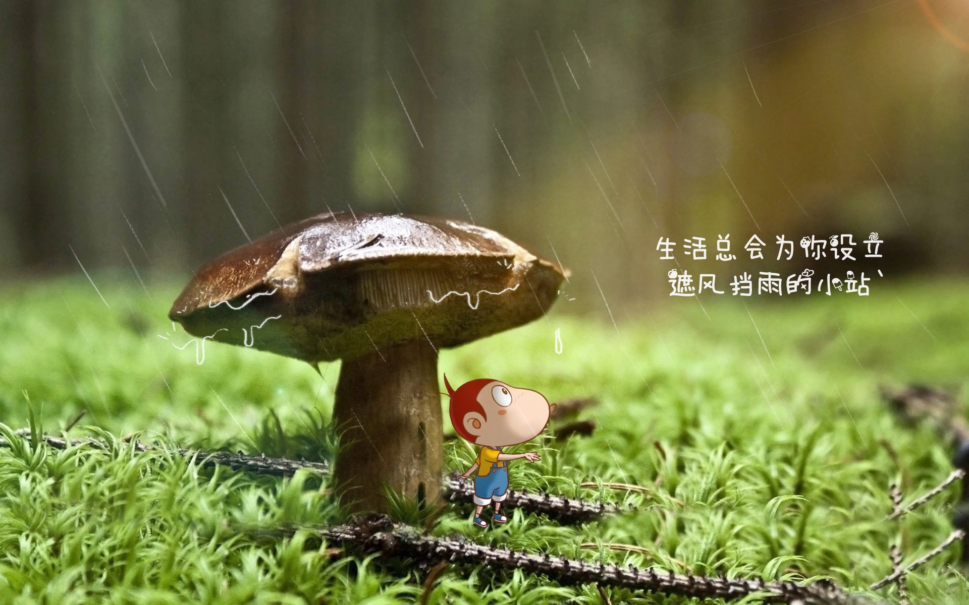 开云体育app-控球革命改写历史，归化天才罗德里戈引领越南击碎匈牙利防线，2026世界杯出线战上演东方奇迹