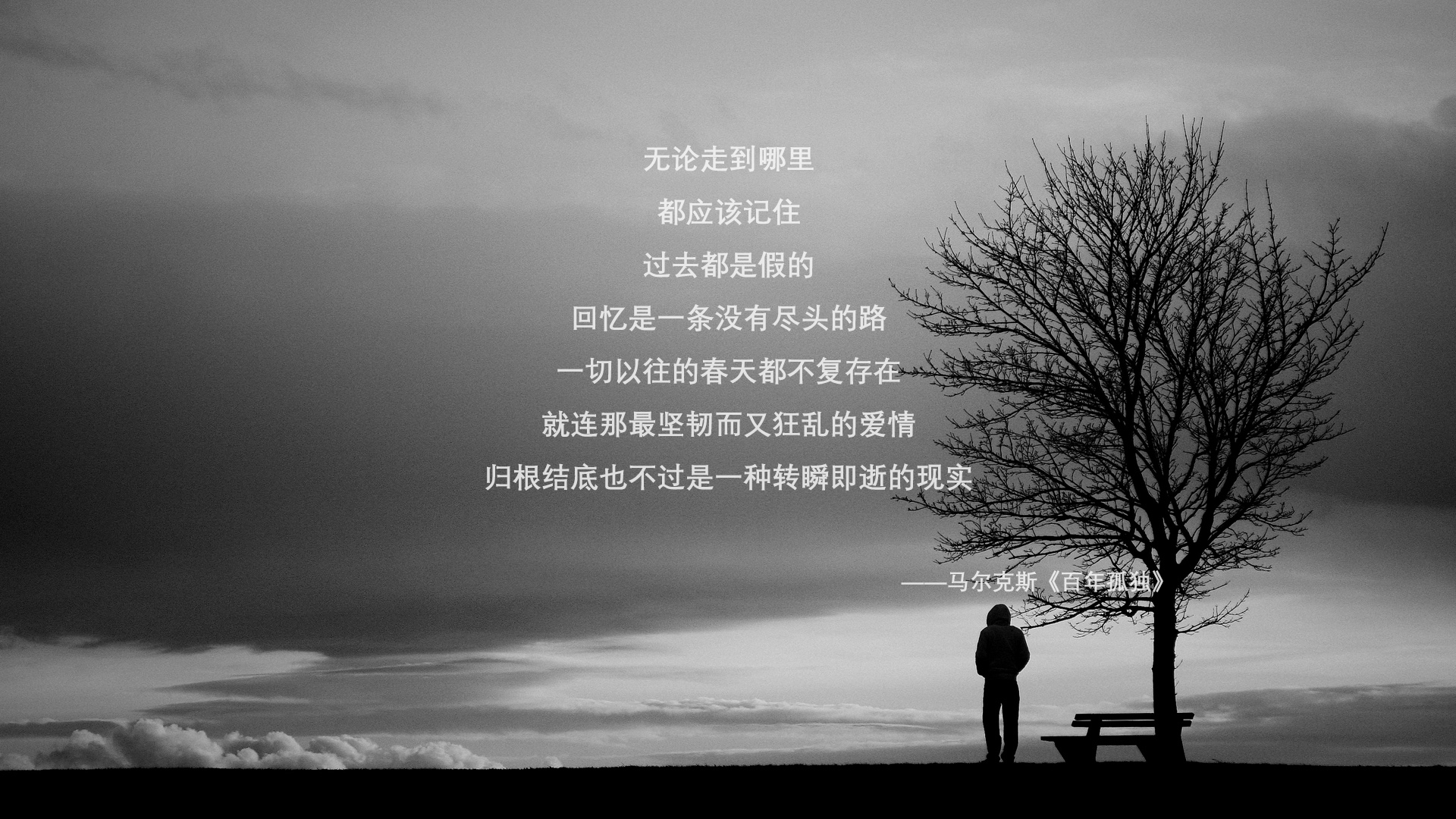 开云体育-极寒与烈阳，当北欧铁骑踏破安第斯山脉，布罗佐维奇如何以一人之力，定义了一场非典型的横扫？2026世界杯八分之一决赛瑞典vs厄瓜多尔战记