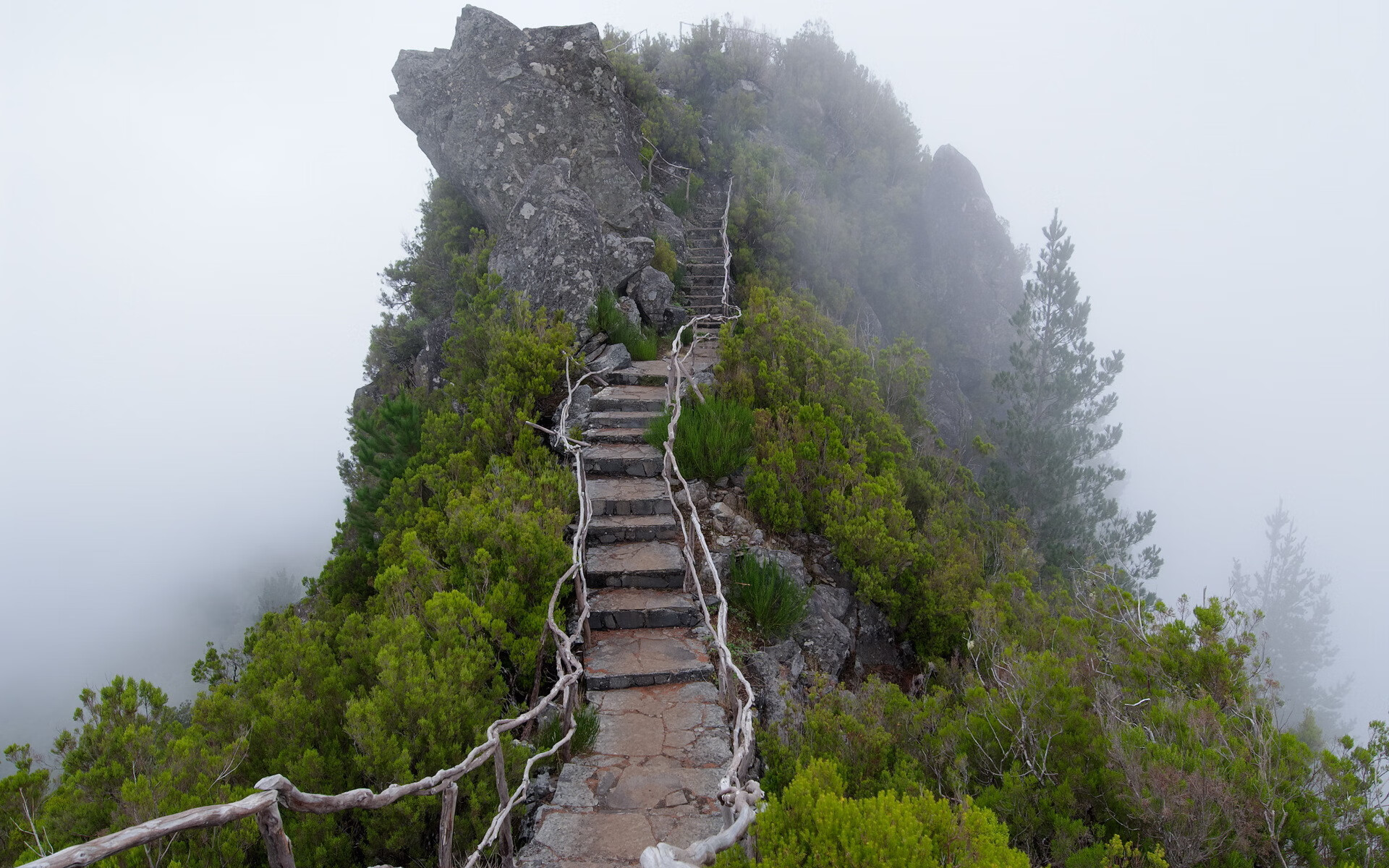 沙漠之狐的逆袭，归化神兵坎塞洛一剑封喉，卡塔尔掀翻高卢雄鸡登顶小组